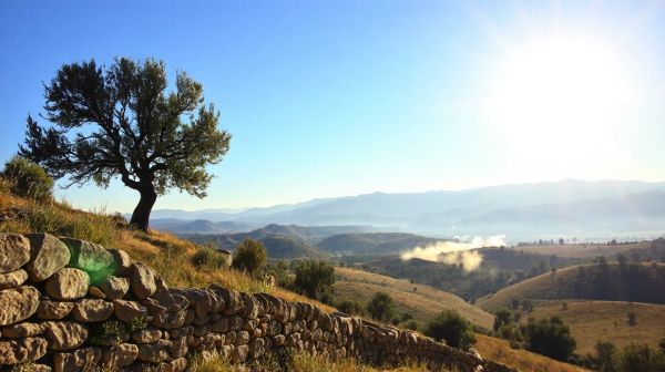 Top stratégies anti-nuisibles avec des experts dans le Vaucluse